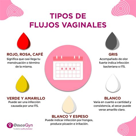 infeccion vajinal fotos reales|Todo lo que debes saber sobre el FLUJO VAGINAL (con fotos。